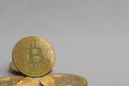 有btc钱包地址怎么查询数量