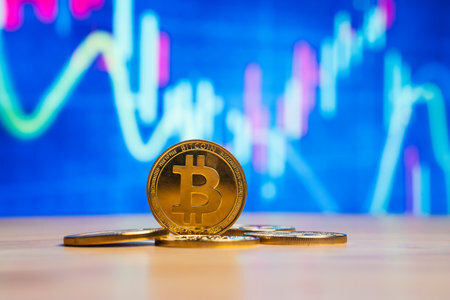 ripio中文叫什么