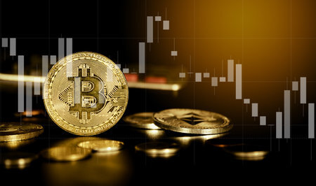 比特星交易所是哪里的