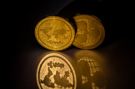 聚币网有多少币种