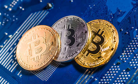 doge币支持哪个钱包