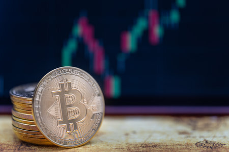 门罗币怎么建立钱包