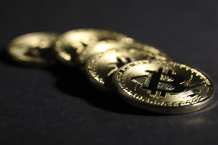 文创币怎么卖给比特币