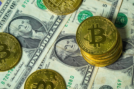 必安vip什么时间更新