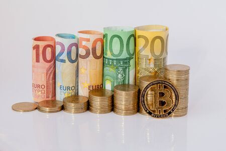 狗狗币可以长到多少