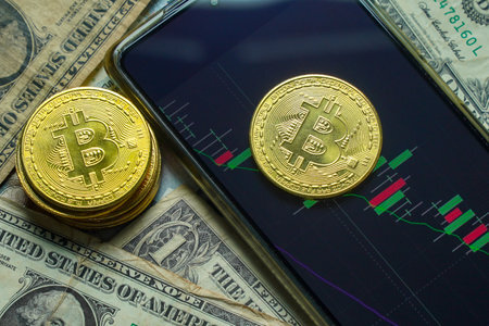 BTC主网是什么格式