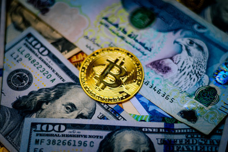 dash币能涨到多少