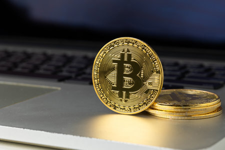 黑币的价格是多少钱一个