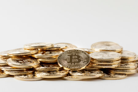 波卡的节点有多少