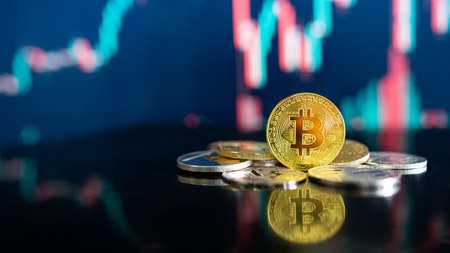 1比特币等于多少btc