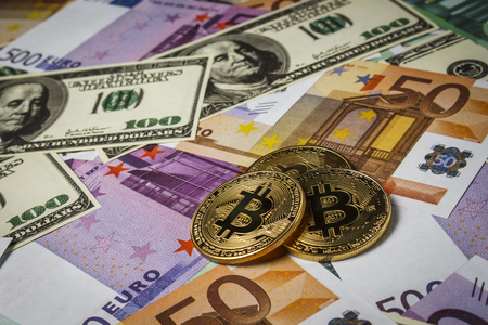 美人鱼币多少钱一个