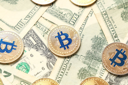 dash币能涨到多少