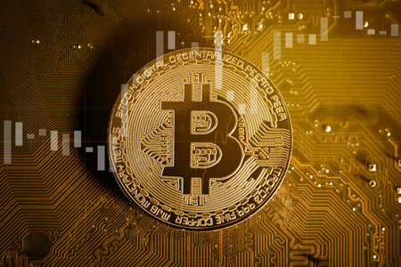 分叉币快照什么意思