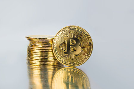 btci指数是什么意思