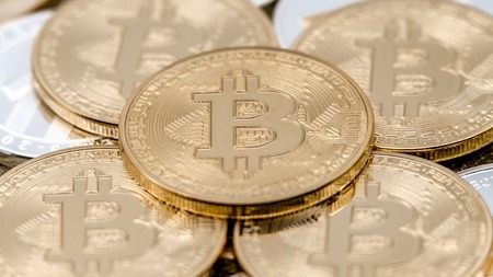 doge币支持哪个钱包